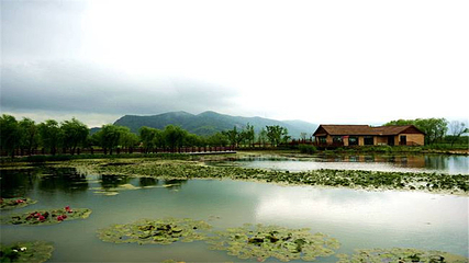 长兴太湖图影湿地文化园第 50 张图片