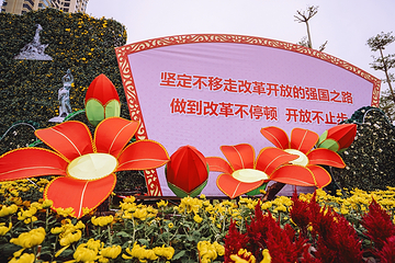 小榄菊花会第 42 张图片