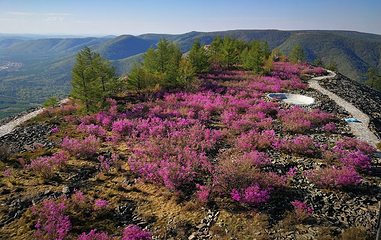 阿尔山白狼峰景区第 50 张图片