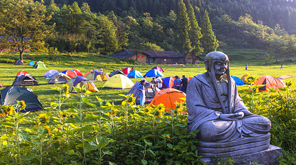 武陵山国家森林公园第 34 张图片