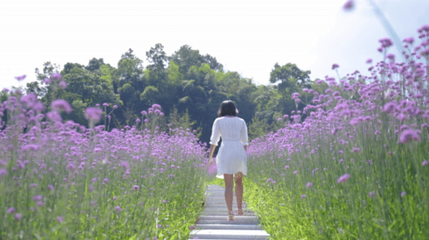 横山花仙谷第 58 张图片