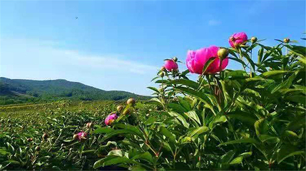 长白山历史文化园第 32 张图片