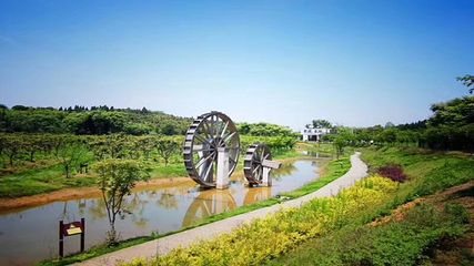 万亩茶园·茶园里梦想小镇第 42 张图片
