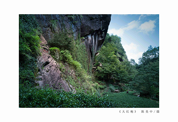 天游峰第 16 张图片