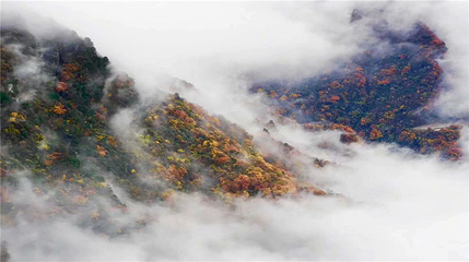汉中龙头山国际旅游度假区第 120 张图片