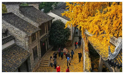 锡惠名胜区第 72 张图片