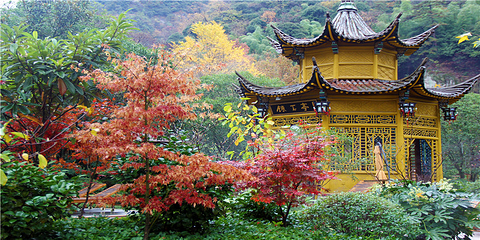 黄山-温泉景区第 12 张图片