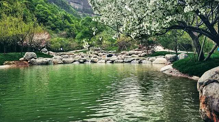 薛家寨第 17 张图片