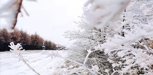 万龙滑雪场第 203 张图片