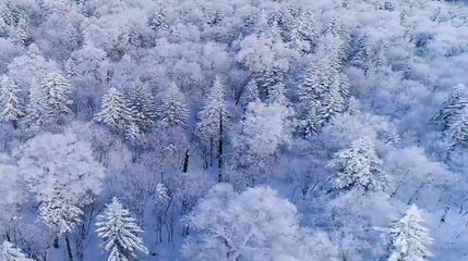 长白山仙峰雪岭景区第 40 张图片