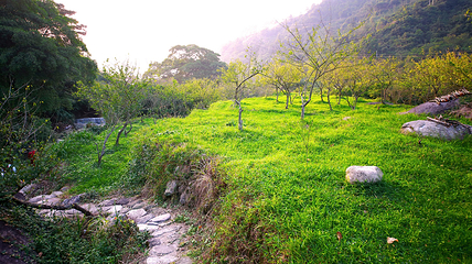 新兴天露山旅游度假区第 81 张图片