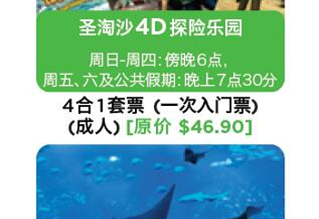 圣淘沙岛第 85 张图片