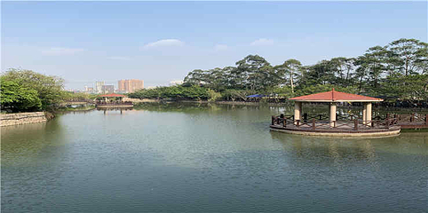 九龙山景区第 8 张图片