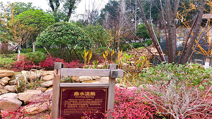 灰汤温泉职工疗养院第 39 张图片