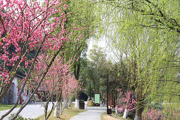 桃花源第 93 张图片