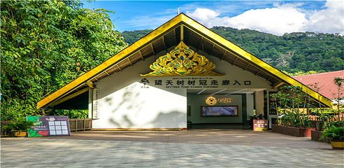 西双版纳热带雨林国家公园望天树景区第 23 张图片