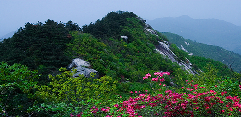 湖北三角山旅游度假区第 21 张图片