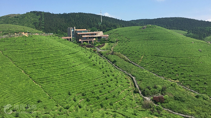 东钱湖福泉山景区第 8 张图片