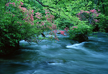 神龙川风景区第 29 张图片