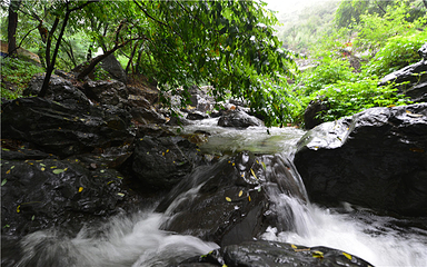 鹤伴山旅游景区第 6 张图片