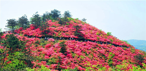 天峡第 73 张图片