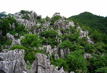 千岛湖石林景区第 40 张图片