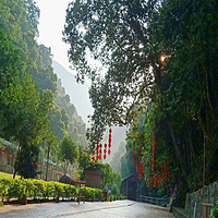安溪桫椤谷风景区