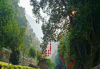 大龙门森林公园第 6 张图片
