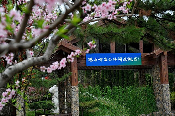 跑马岭生态休闲度假区第 20 张图片