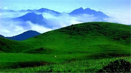 仰天湖大草原第 87 张图片