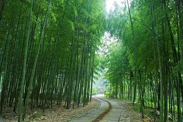 黄公望隐居地第 23 张图片