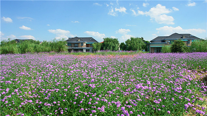 千龙湖生态旅游度假区第 2 张图片