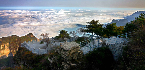 王莽岭风景区第 9 张图片
