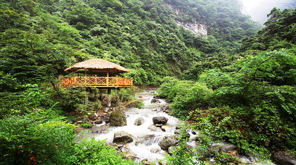 金佛山第 71 张图片