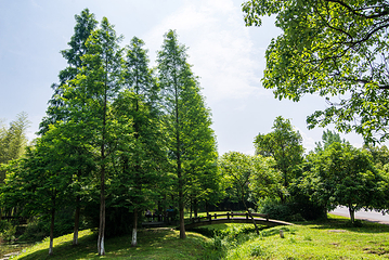 龙虎山风景区-仙宠乐园第 19 张图片
