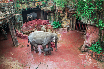 长鹿旅游休博园第 109 张图片