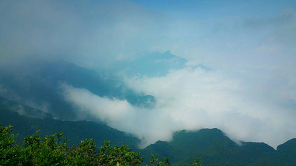 金佛山北坡景区第 74 张图片