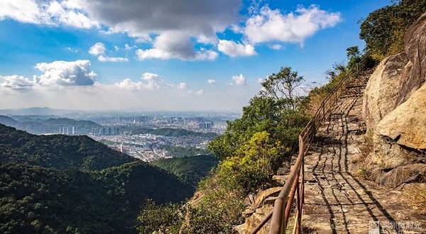 老虎沟生态农场