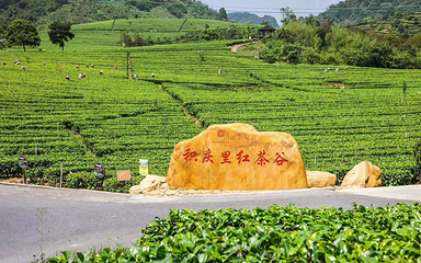 积庆里红茶谷第 43 张图片