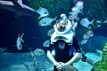三亚亚特兰蒂斯失落的空间水族馆第 88 张图片