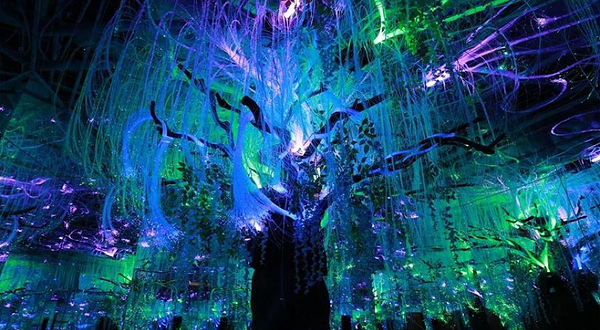 独角兽星空艺术馆 田子坊旗舰店