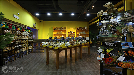 未来动物城(银泰城店)第 5 张图片