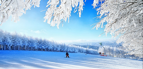 万龙滑雪场第 95 张图片