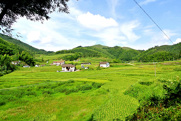 上堡梯田第 9 张图片