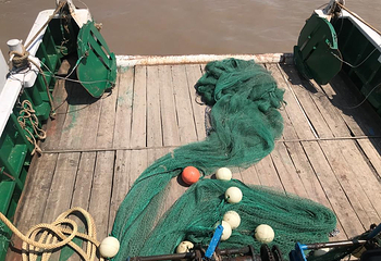 石浦捕鱼第 14 张图片