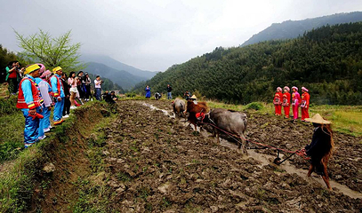 清远金子山原生态旅游风景区第 103 张图片