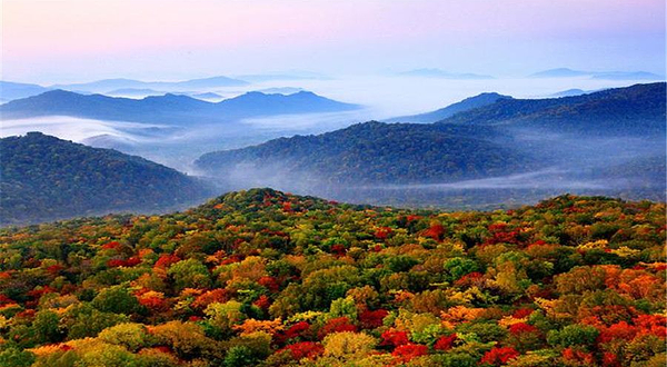 金龙山国家森林公园