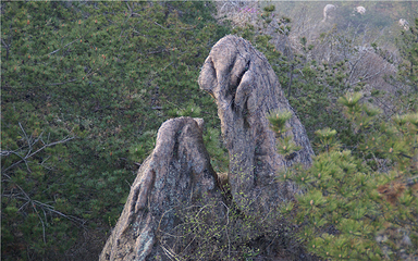 槎山风景区第 15 张图片