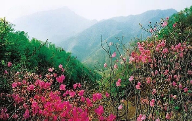 九山顶自然风景区第 22 张图片