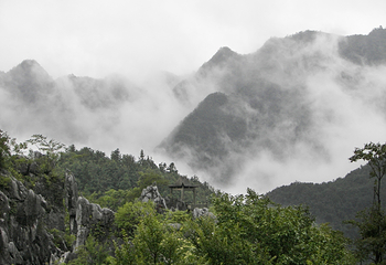 千岛湖石林景区第 51 张图片